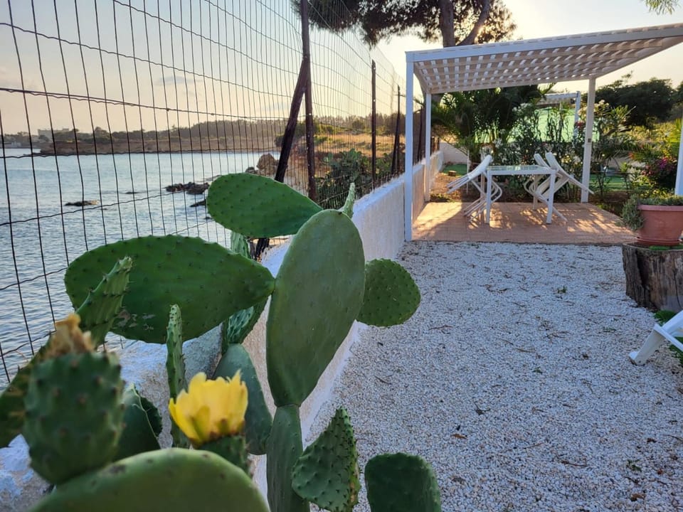 Garden, Sea view