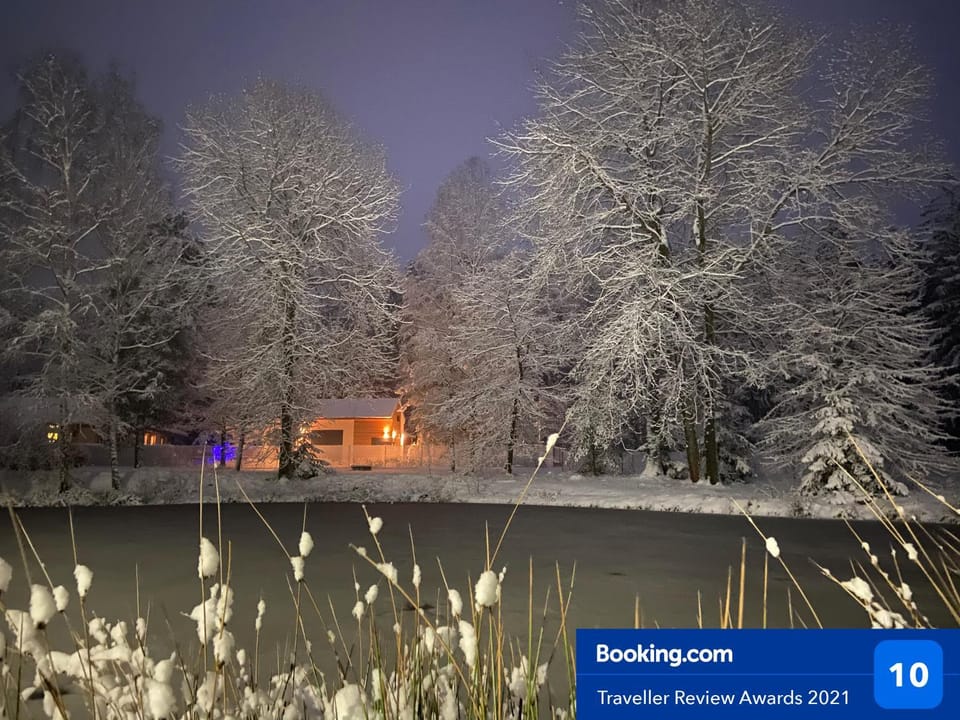 Natural landscape, Winter