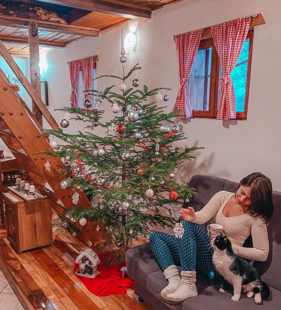 People, Living room, Pets