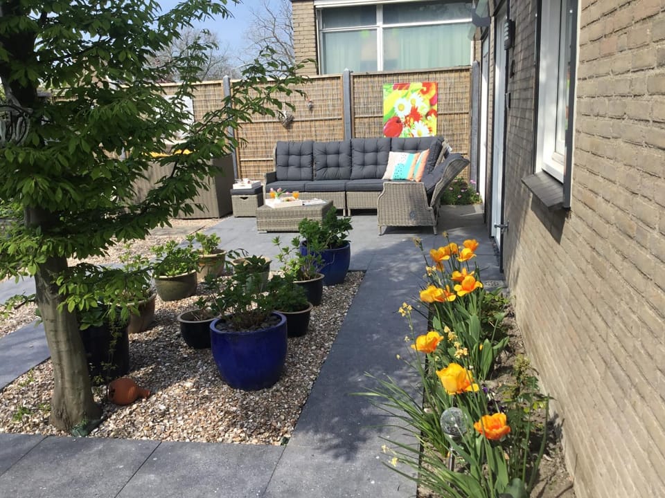 Property building, Garden, Garden view