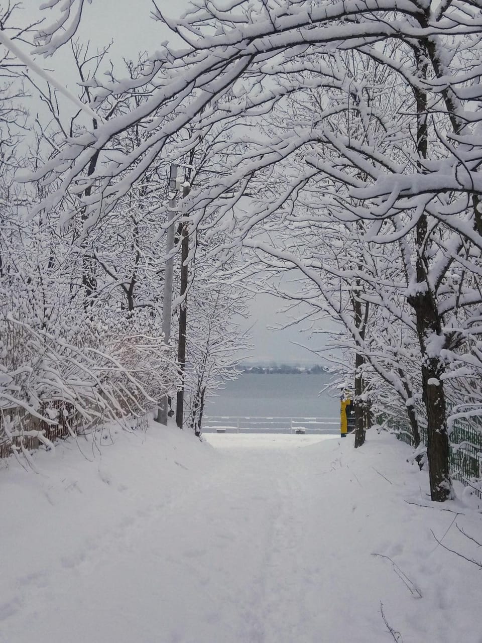 Neighbourhood, Natural landscape, Winter