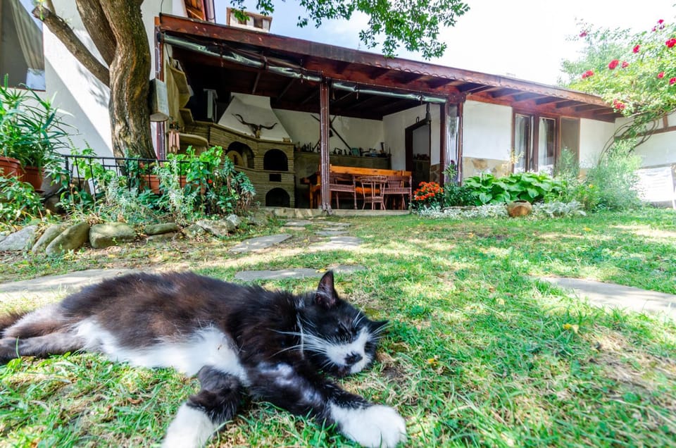 Property building, Garden, Pets