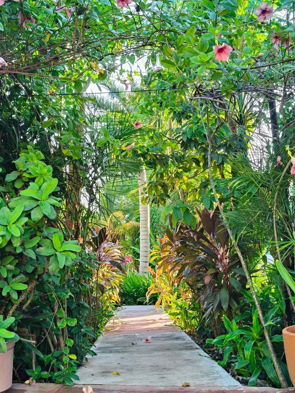 Casa Xu´unan Bed and Breakfast in State of Quintana Roo