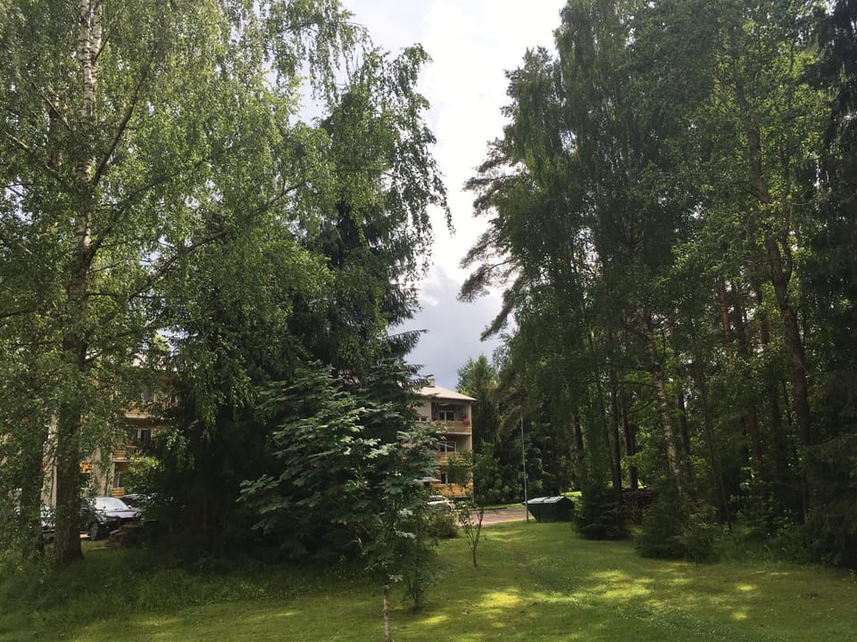 Garden view, Inner courtyard view
