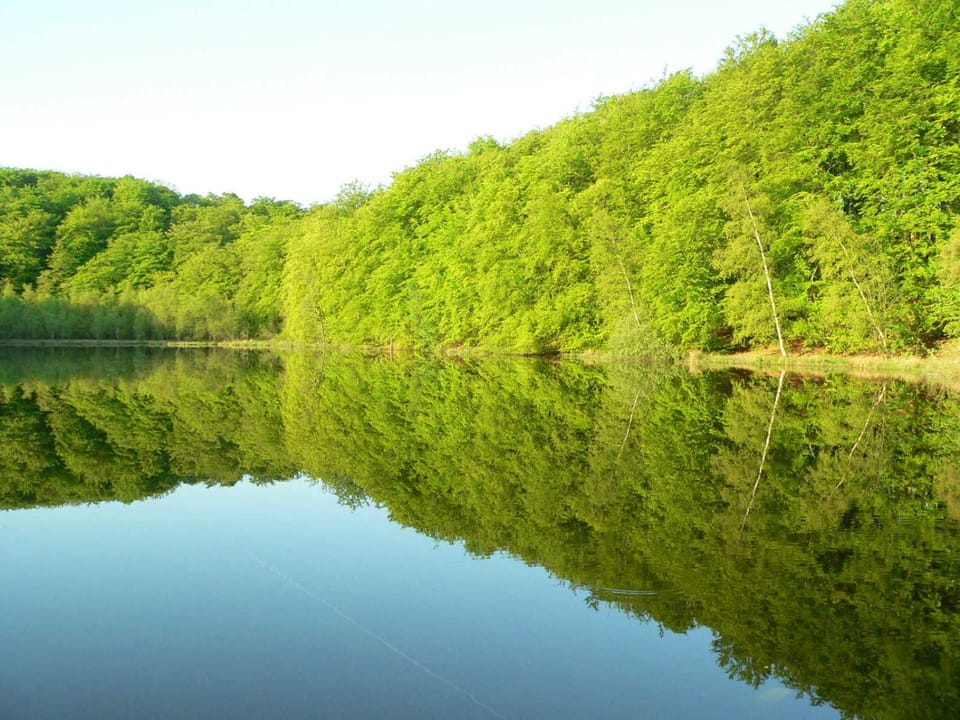 Natural landscape