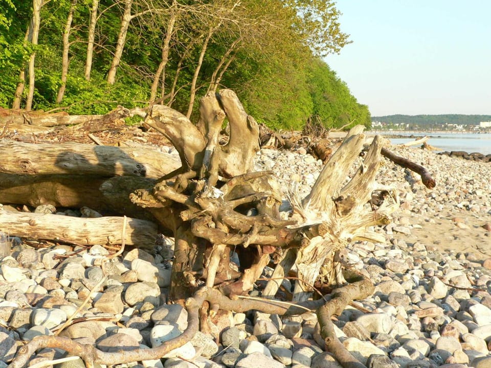 Appartement _ Fewo in Binz Apartment in Binz