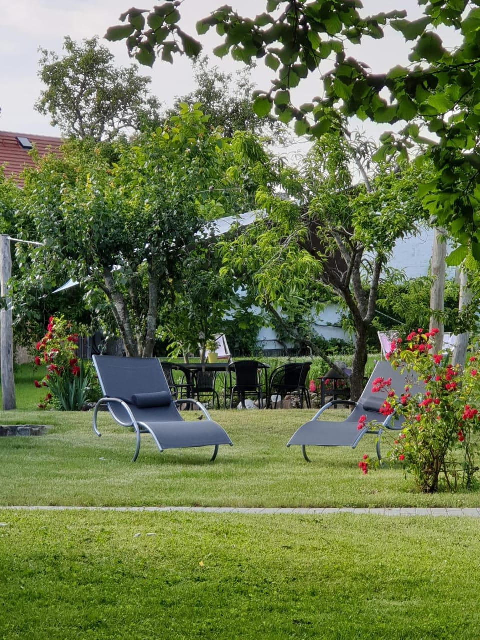 Spring, Garden, Garden view, sunbed