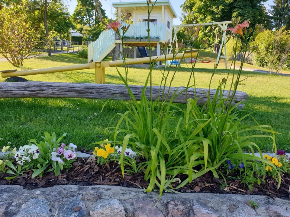 Spring, Natural landscape, Garden