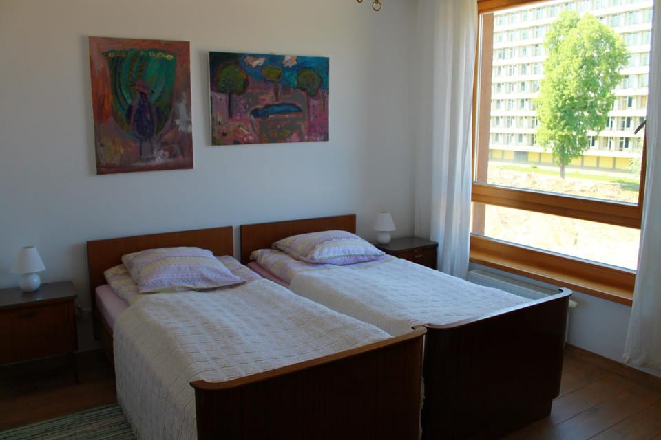 Ruta Marija Apartment in Lithuania