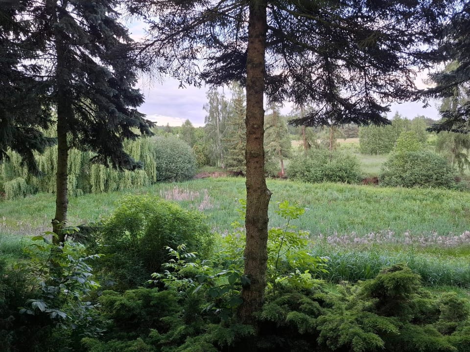 Natural landscape, Garden, Garden view