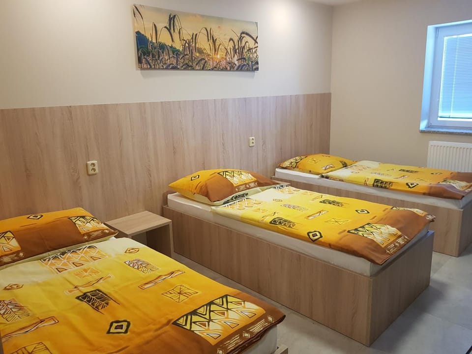 Penzion Hudebka Bed and Breakfast in Saxony