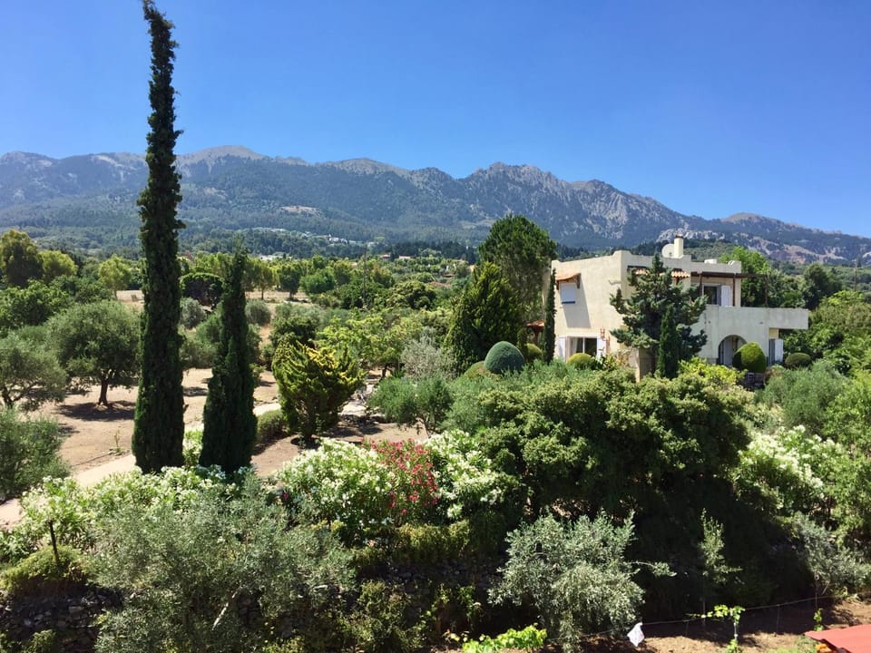 Carpe Diem Apartment in Kos, Greece