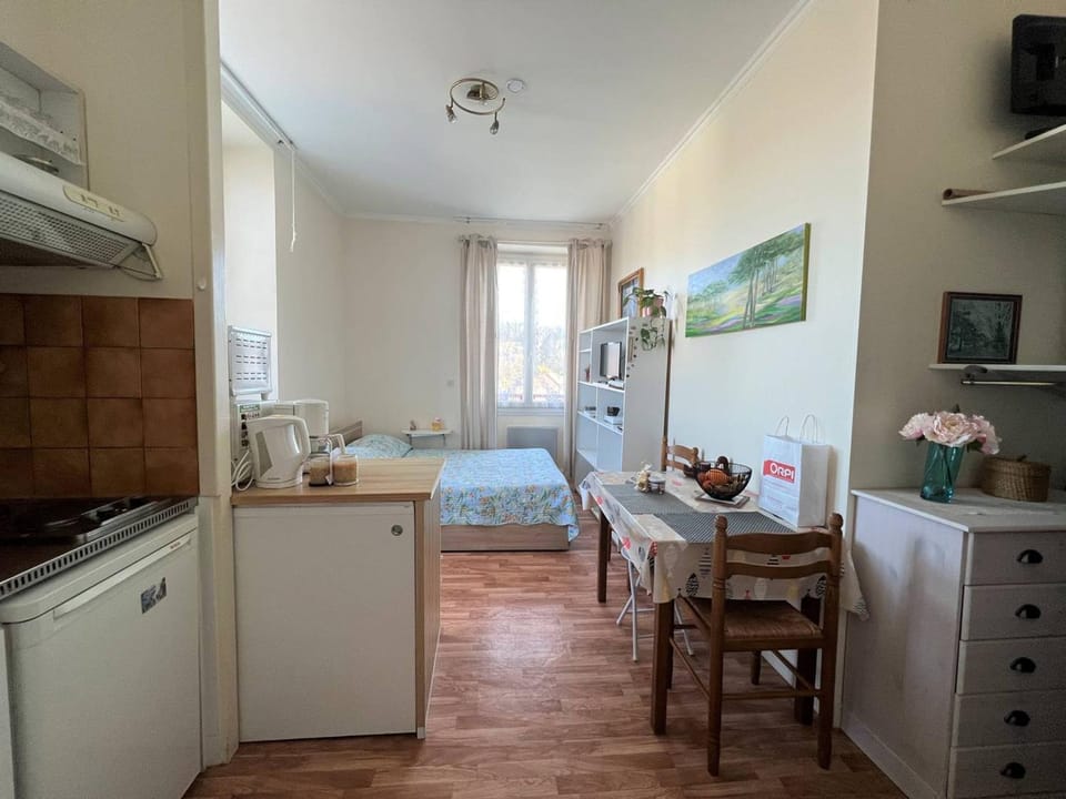 Studio lumineux à Cambo-les-Bains, proche thermes, coin nuit, kitchenette, internet, animaux acceptés - FR-1-495-10 Apartment in French Basque Country