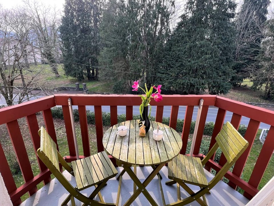 Cambo-les-Bains : T1 Bis lumineux avec balcon, parking, animaux admis - FR-1-495-31 Apartment in French Basque Country