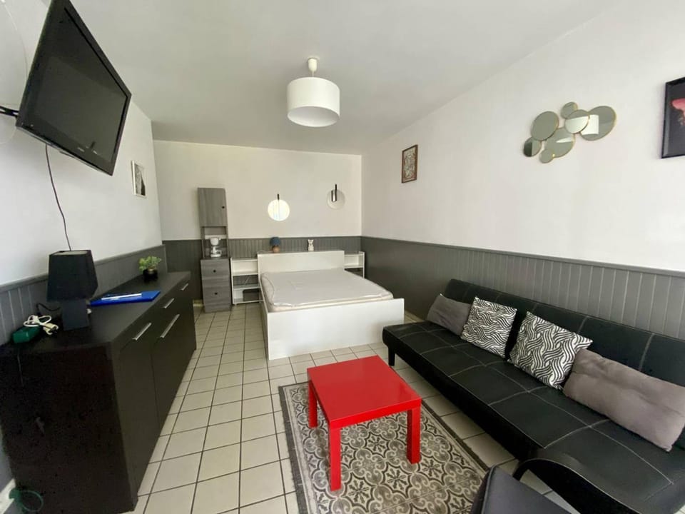 Studio 2 personnes, terrasse fermée, animaux tolérés, proche parking – Cambo-les-Bains - FR-1-495-63 Apartment in French Basque Country