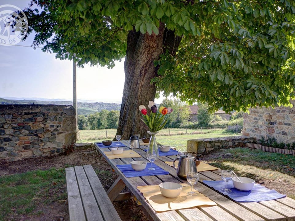 Gîte familial spacieux et chaleureux, animaux acceptés, jusqu'à 10 personnes - FR-1-496-128 House in Auvergne-Rhône-Alpes