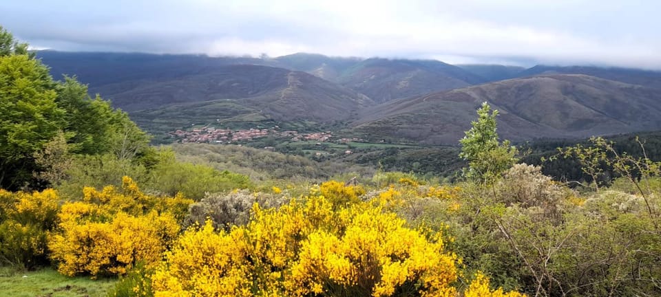 Natural landscape