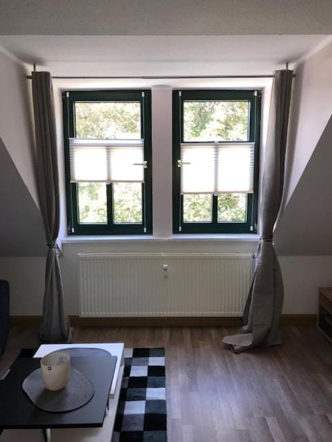 Gästewohnung Saaleblick Apartment in Thuringia, Germany