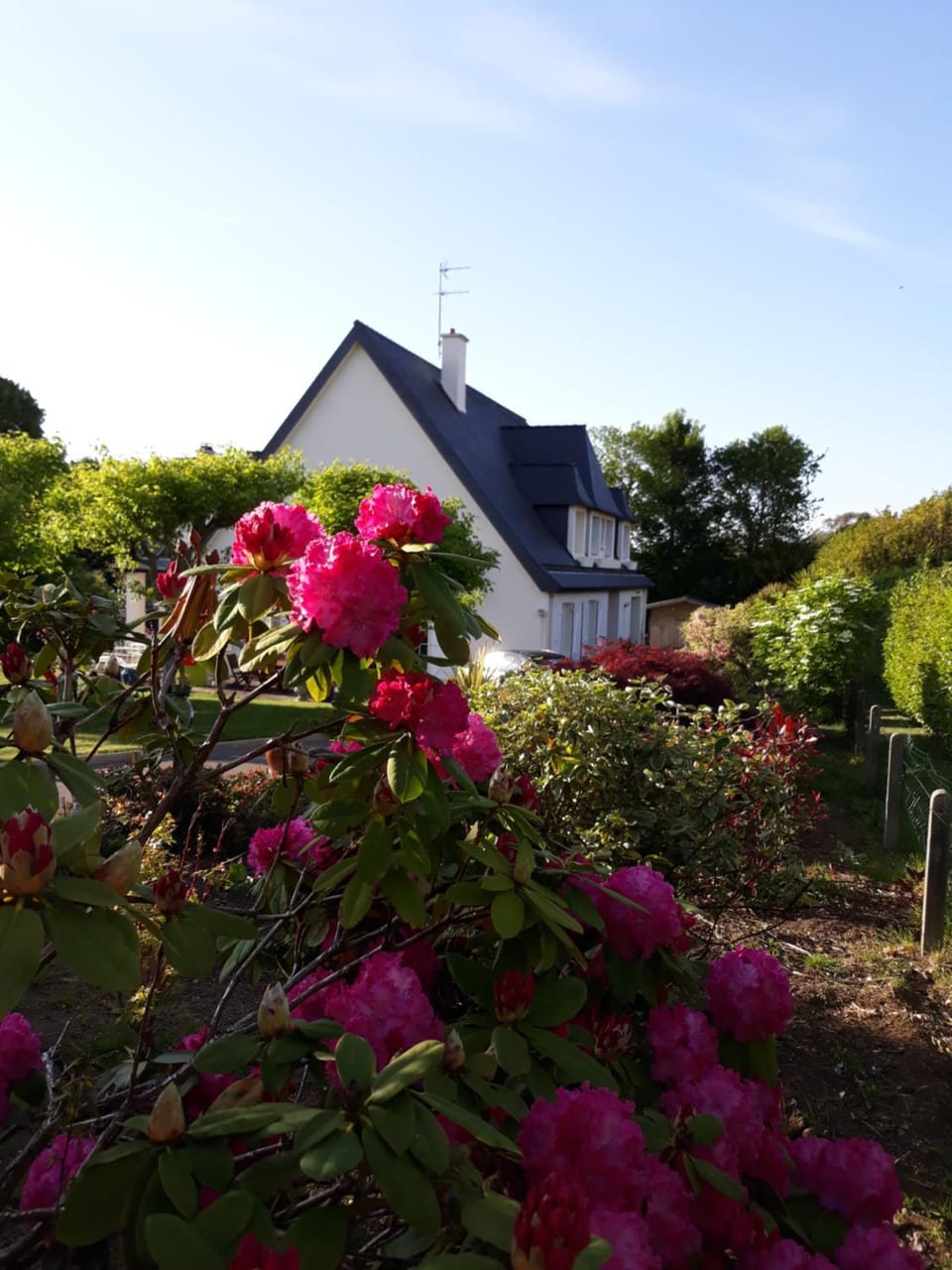 Property building, Garden
