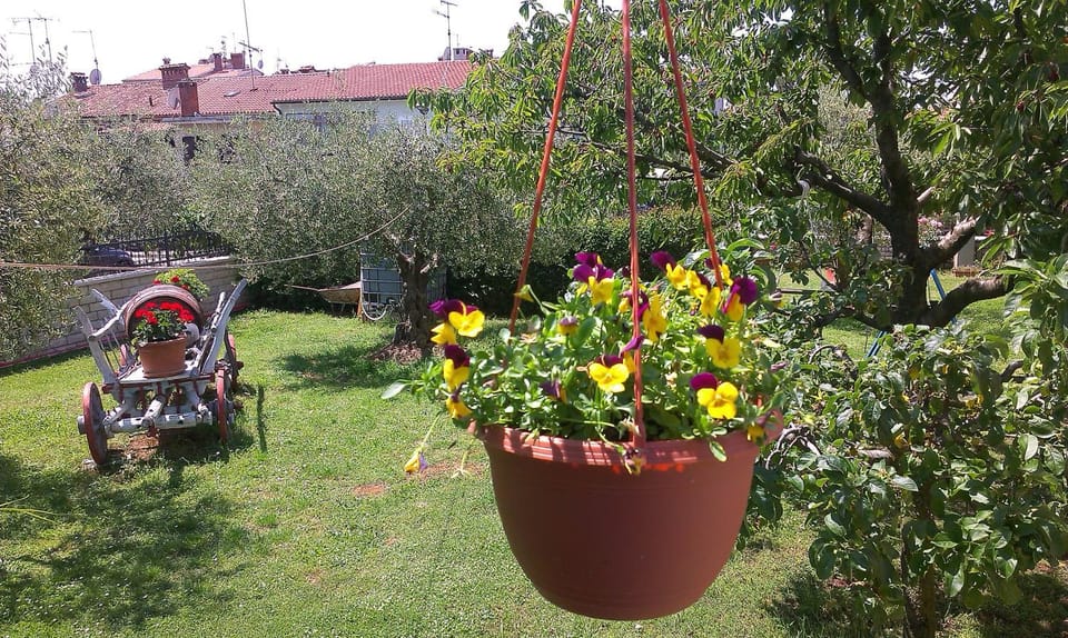 Studio Benassi Apartment in Poreč