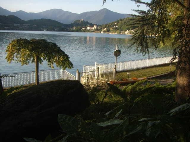 Lake view