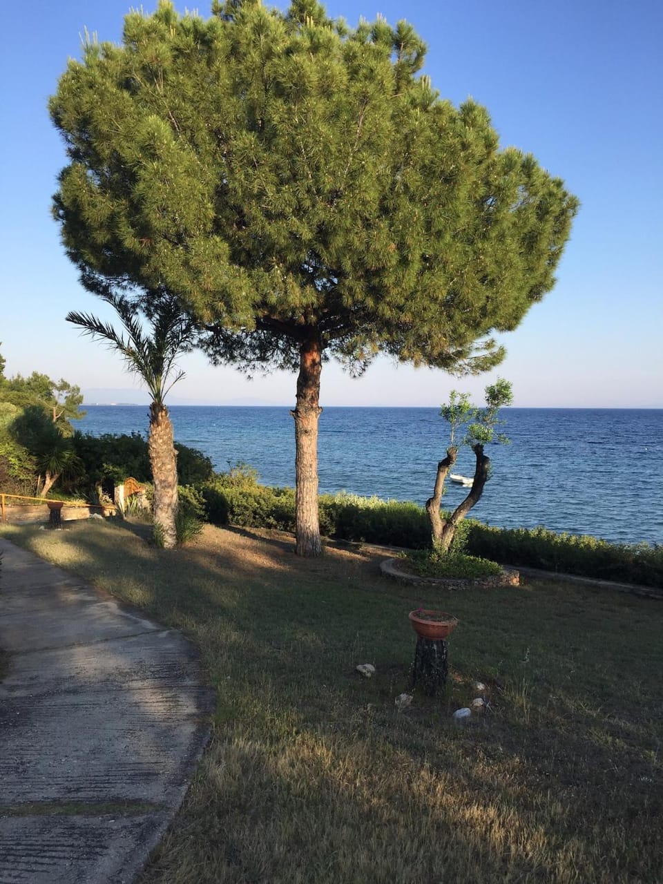 Garden, Sea view