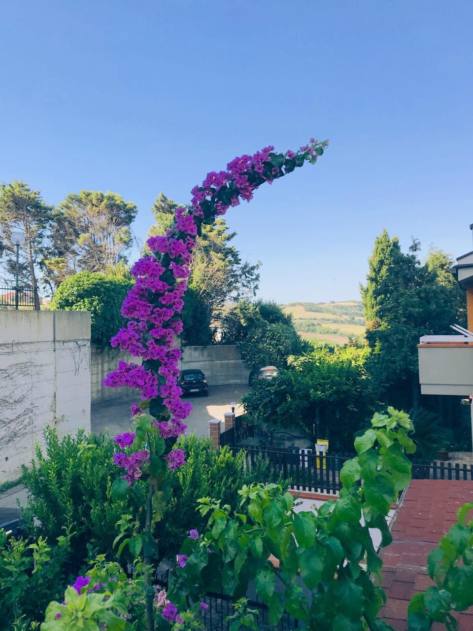 Le stanze di Botticelli Bed and Breakfast in Termoli