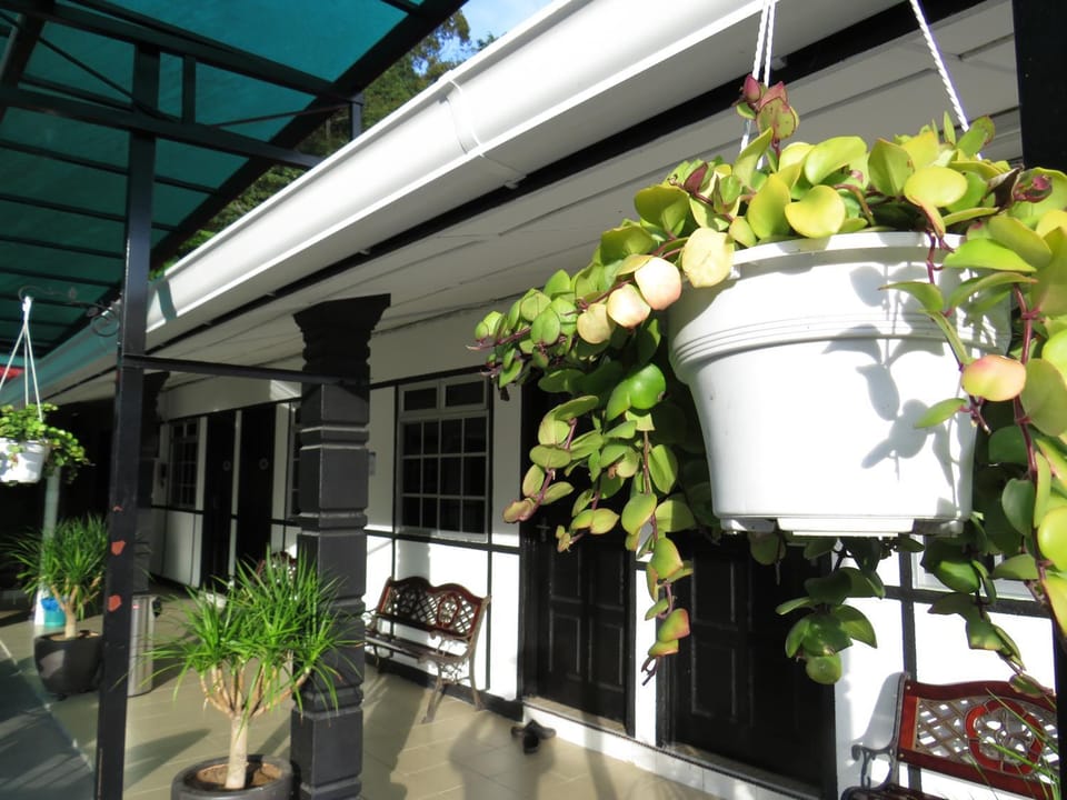 Balcony/Terrace, Balcony/Terrace
