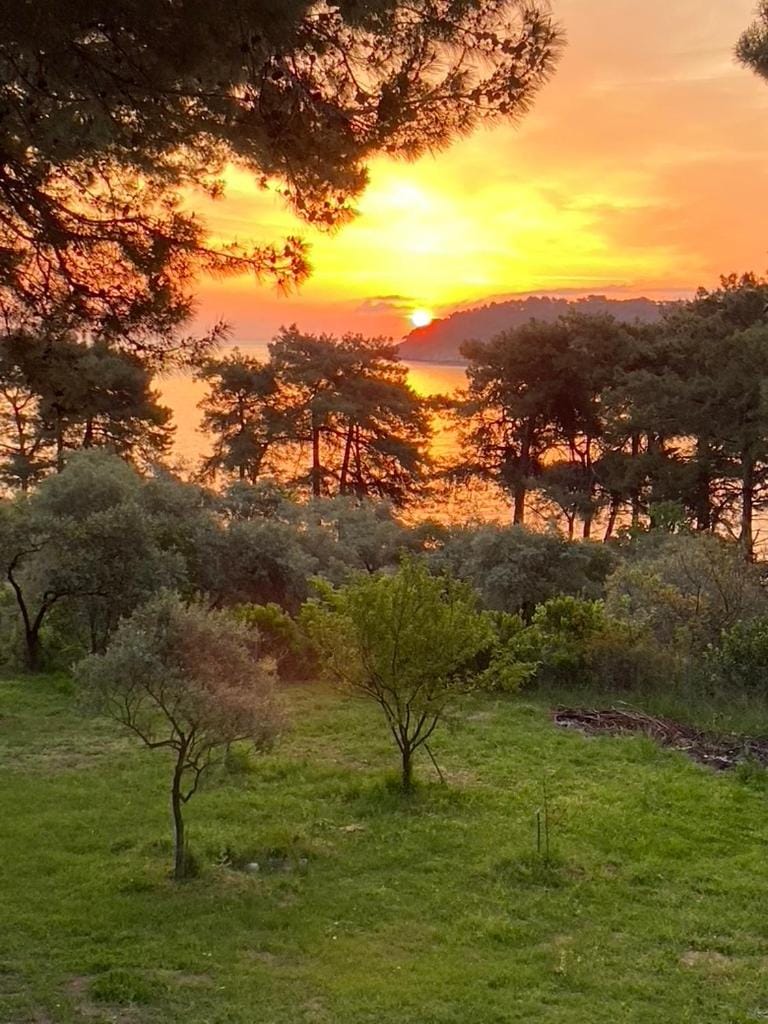 Art.Villa.Nike Apartment in Thasos