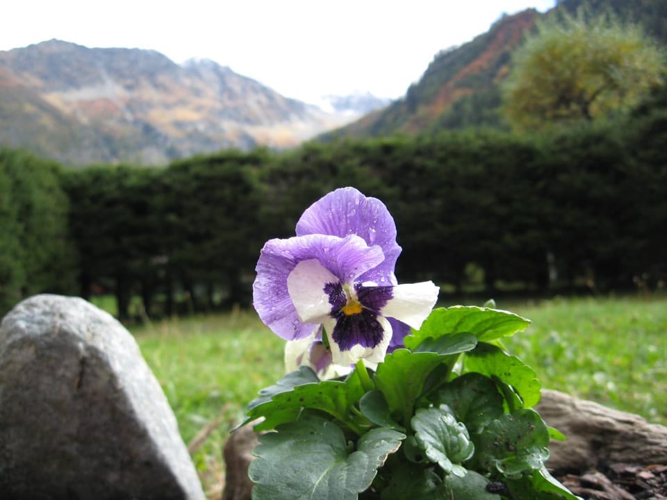 Natural landscape