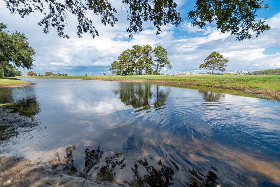 Natural landscape, River view