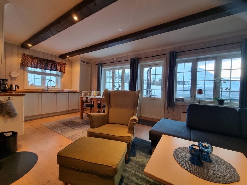 Leilighet Gaustablikk Apartment in Viken, Norway