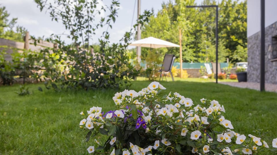 Inner courtyard view