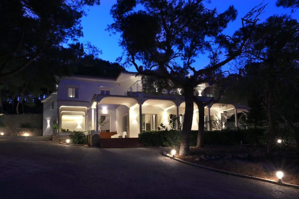 Property building, Night, Garden, Garden, Garden view