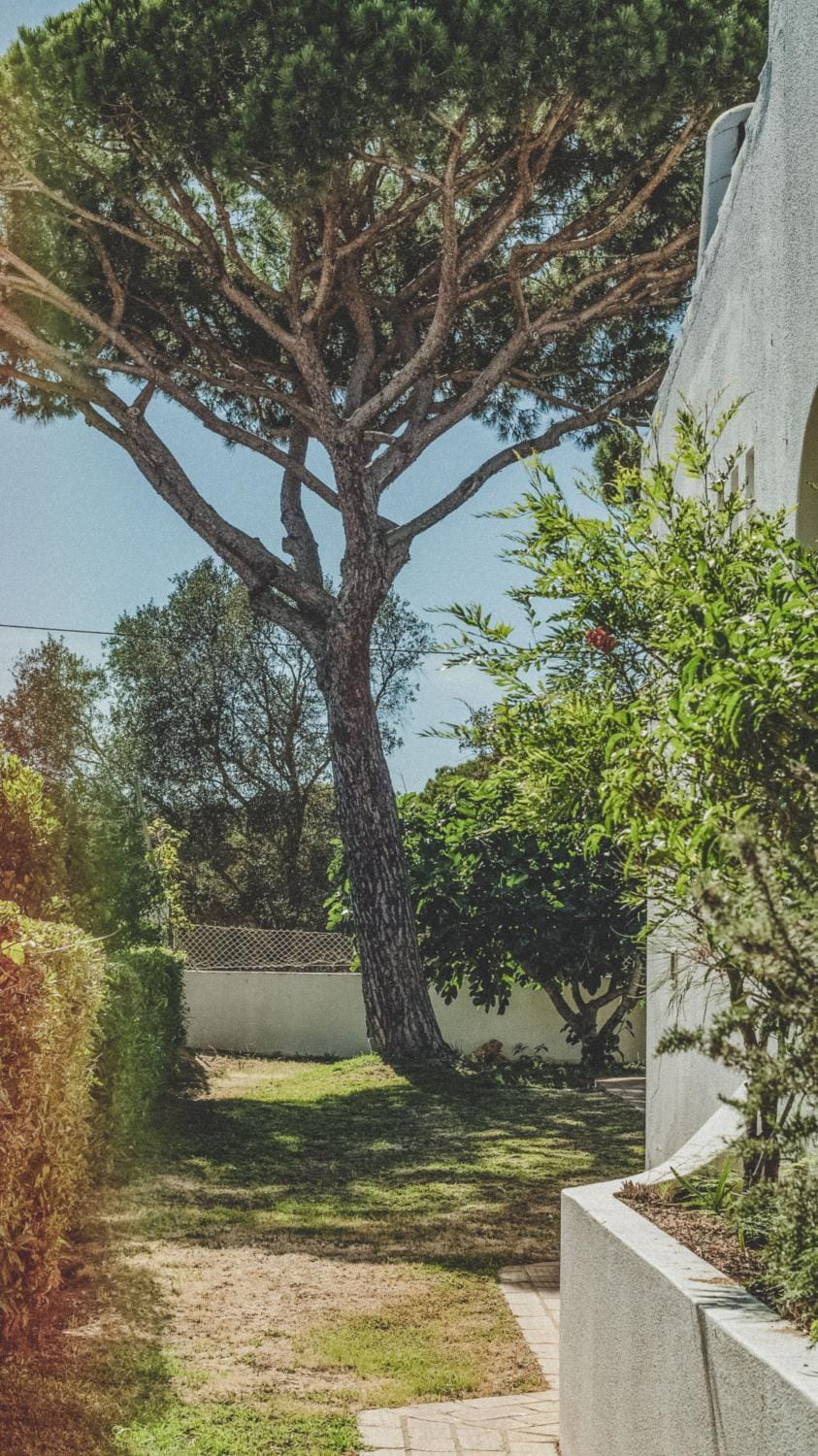 Day, Natural landscape, Garden, Garden view