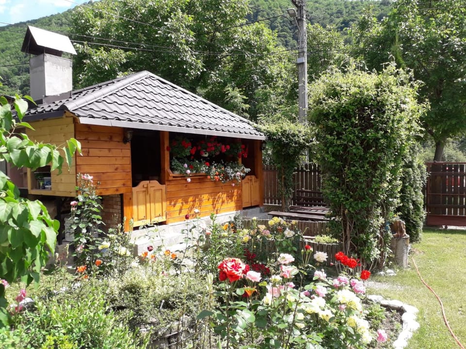 Casa Fetic Vacation rental in Prahova, Romania