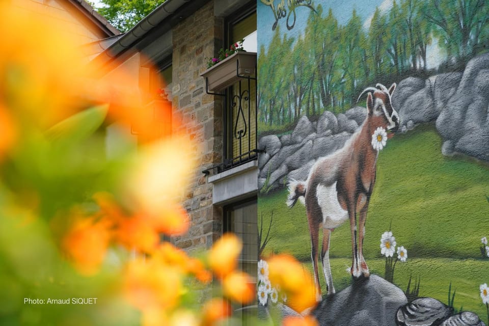 Gîte les gadlis House in Wallonia, Belgium