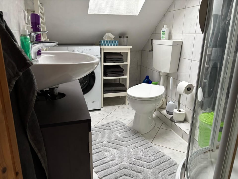 Shower, Toilet, Bathroom, washing machine