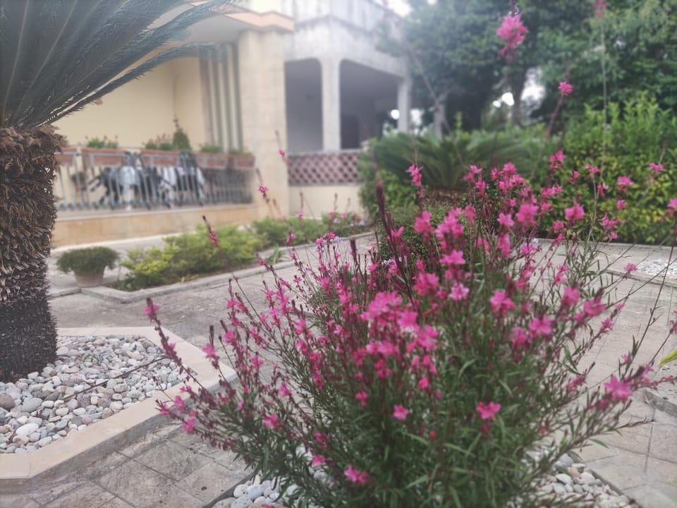 Villetta Gio' Otranto House in Apulia