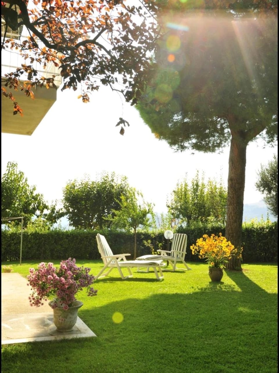 Day, Natural landscape, Garden, Garden view