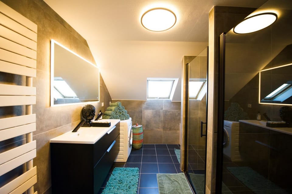BIG MAMA with mobile aircon, free parking Apartment in Colmar