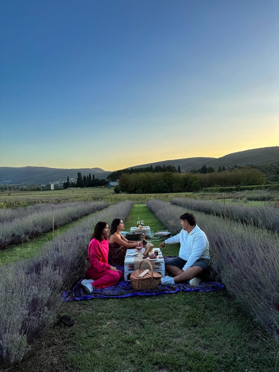 Natural landscape, group of guests