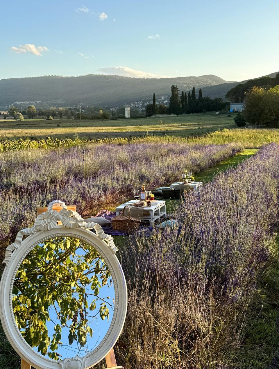Natural landscape