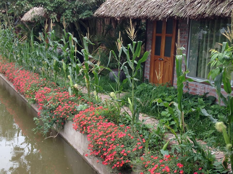 Facade/entrance, Garden