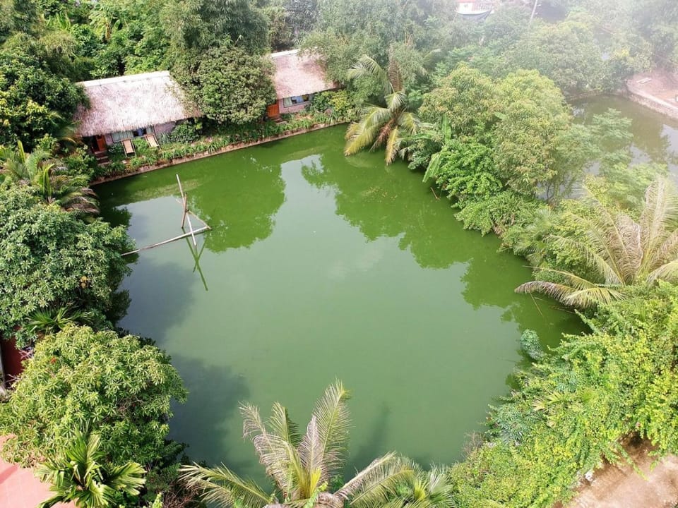 Natural landscape, Lake view