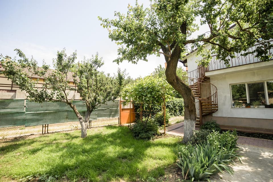 Property building, Facade/entrance, Garden