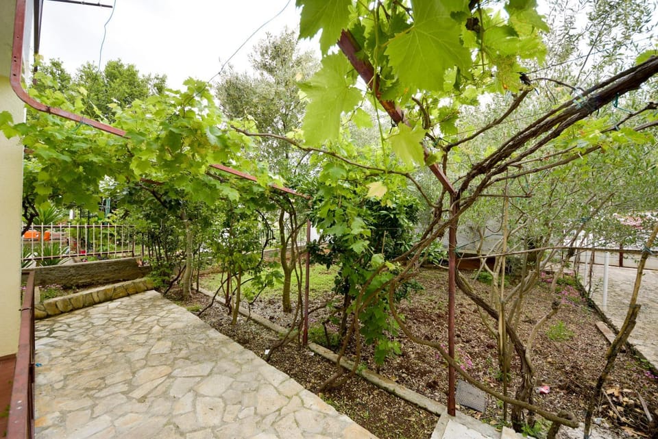 Garden, Balcony/Terrace, Garden view