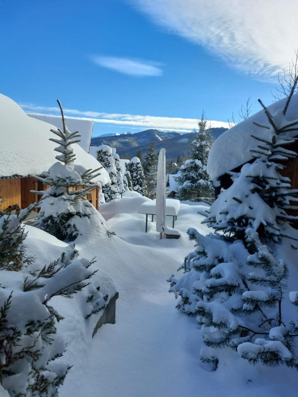 Winter, Mountain view