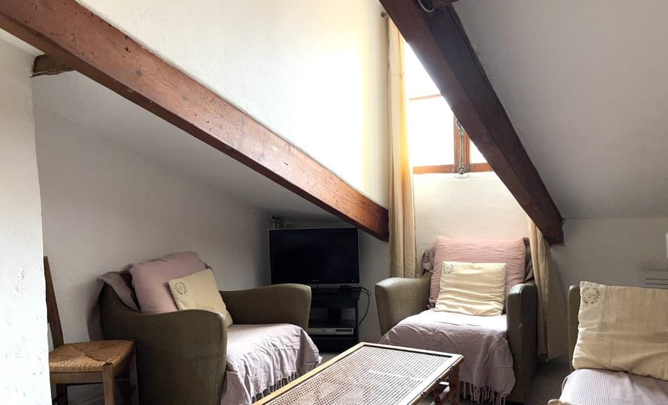Garibaldi mansardé Apartment in Nice