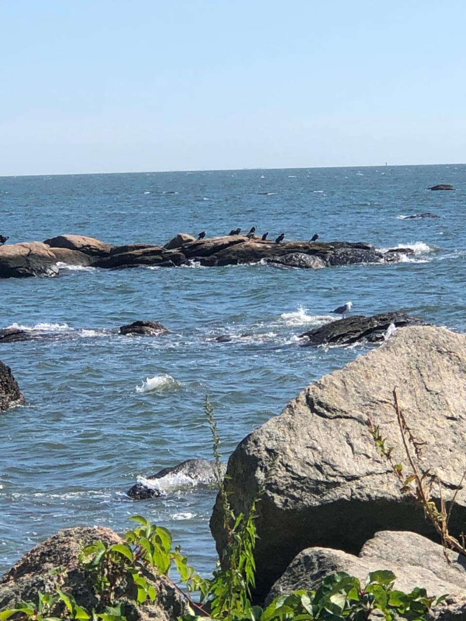 Natural landscape, Sea view